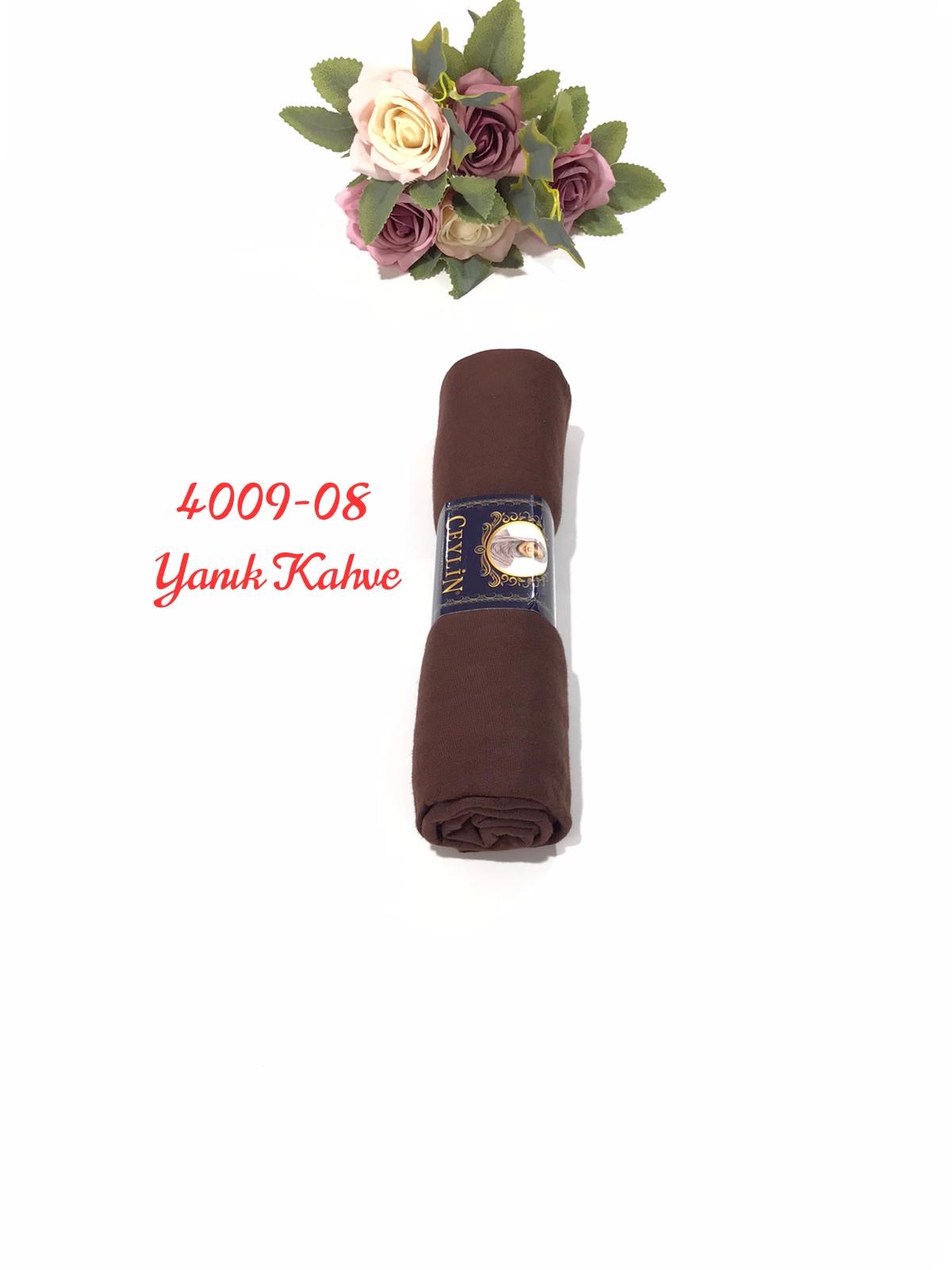 4009 Penye ŞAL