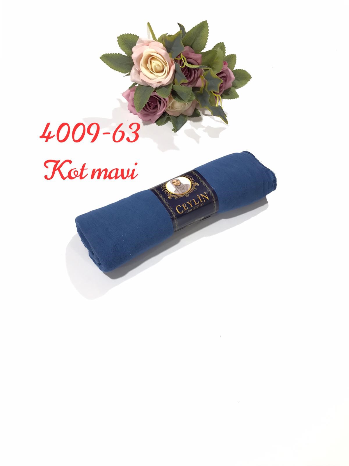 4009 Penye ŞAL