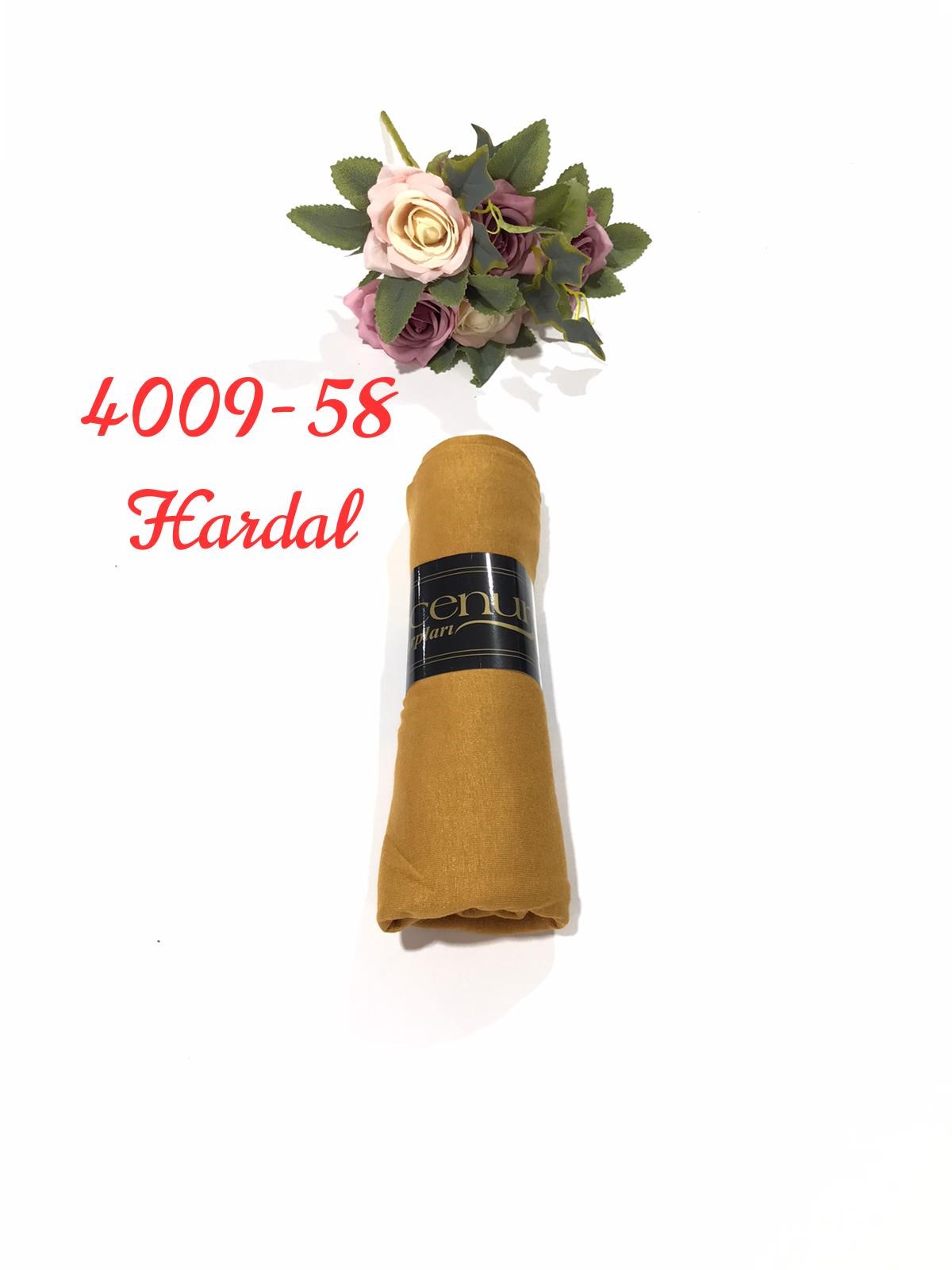 4009 Penye ŞAL
