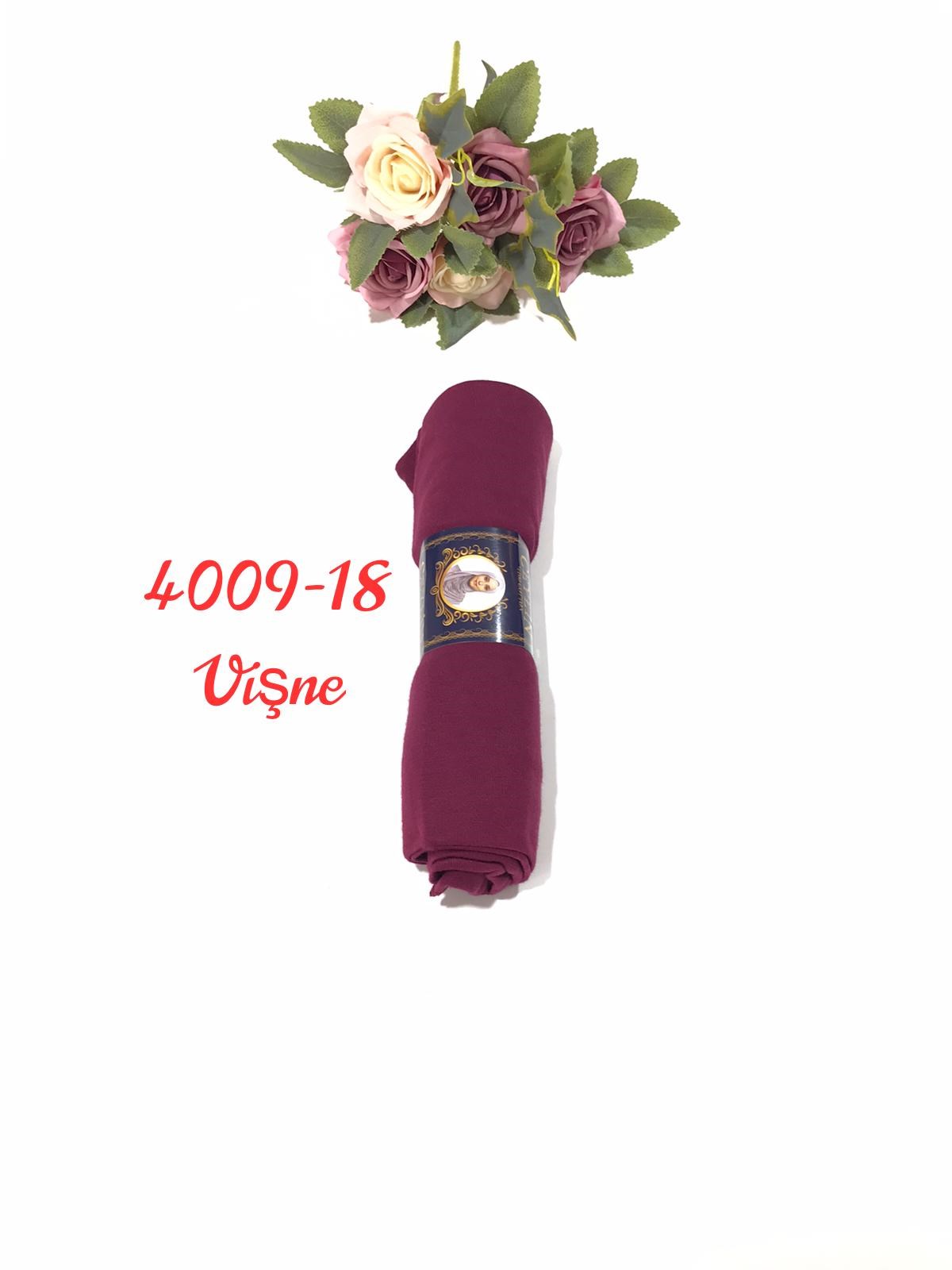 4009 Penye ŞAL