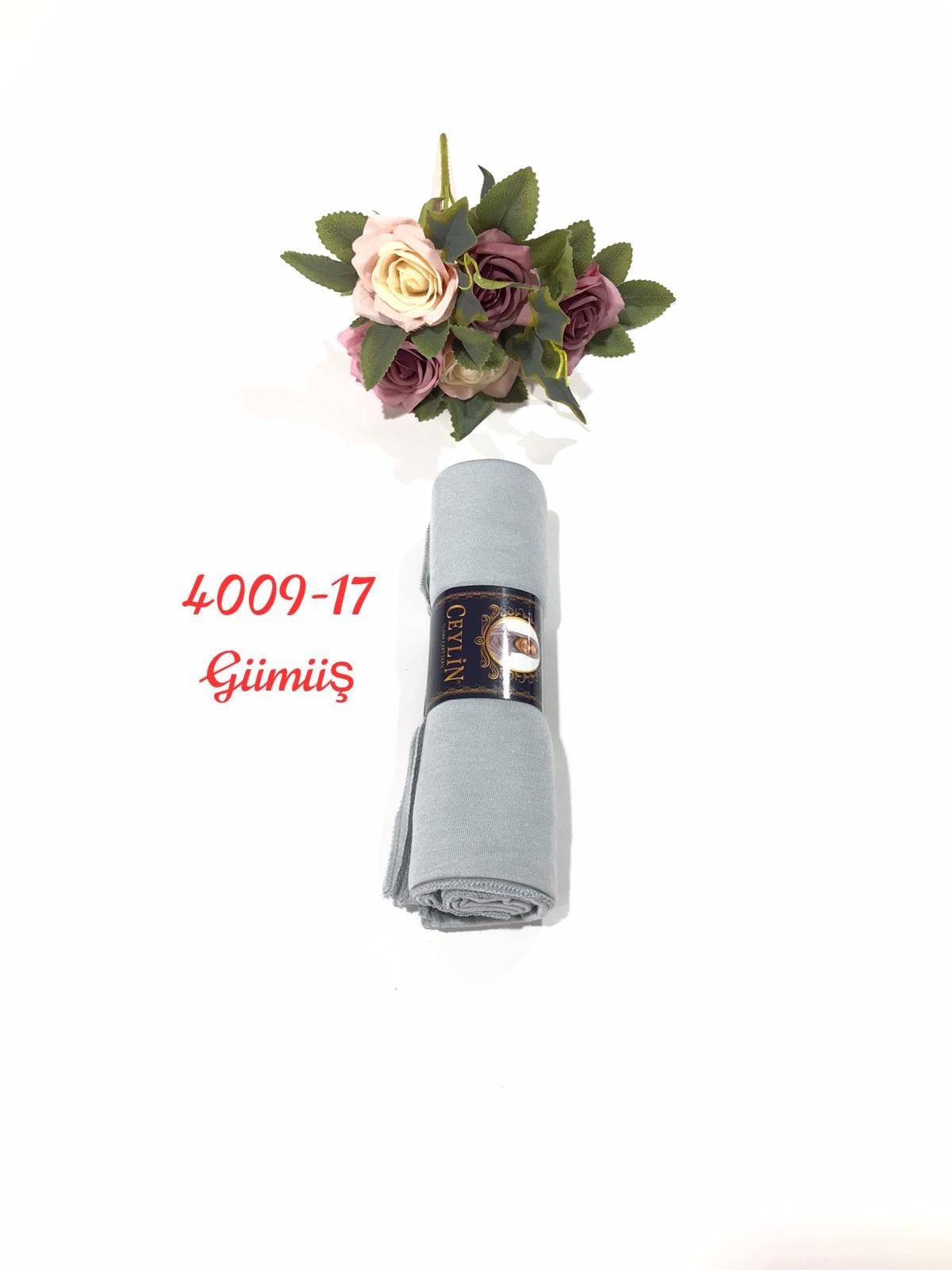4009 Penye ŞAL