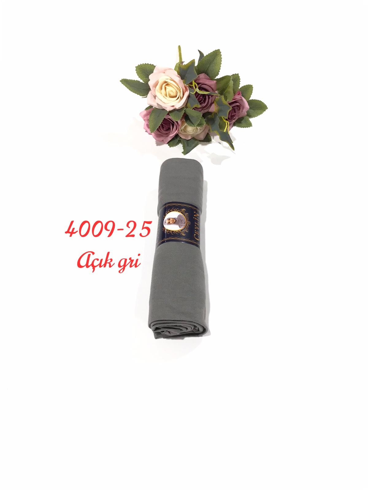 4009 Penye ŞAL