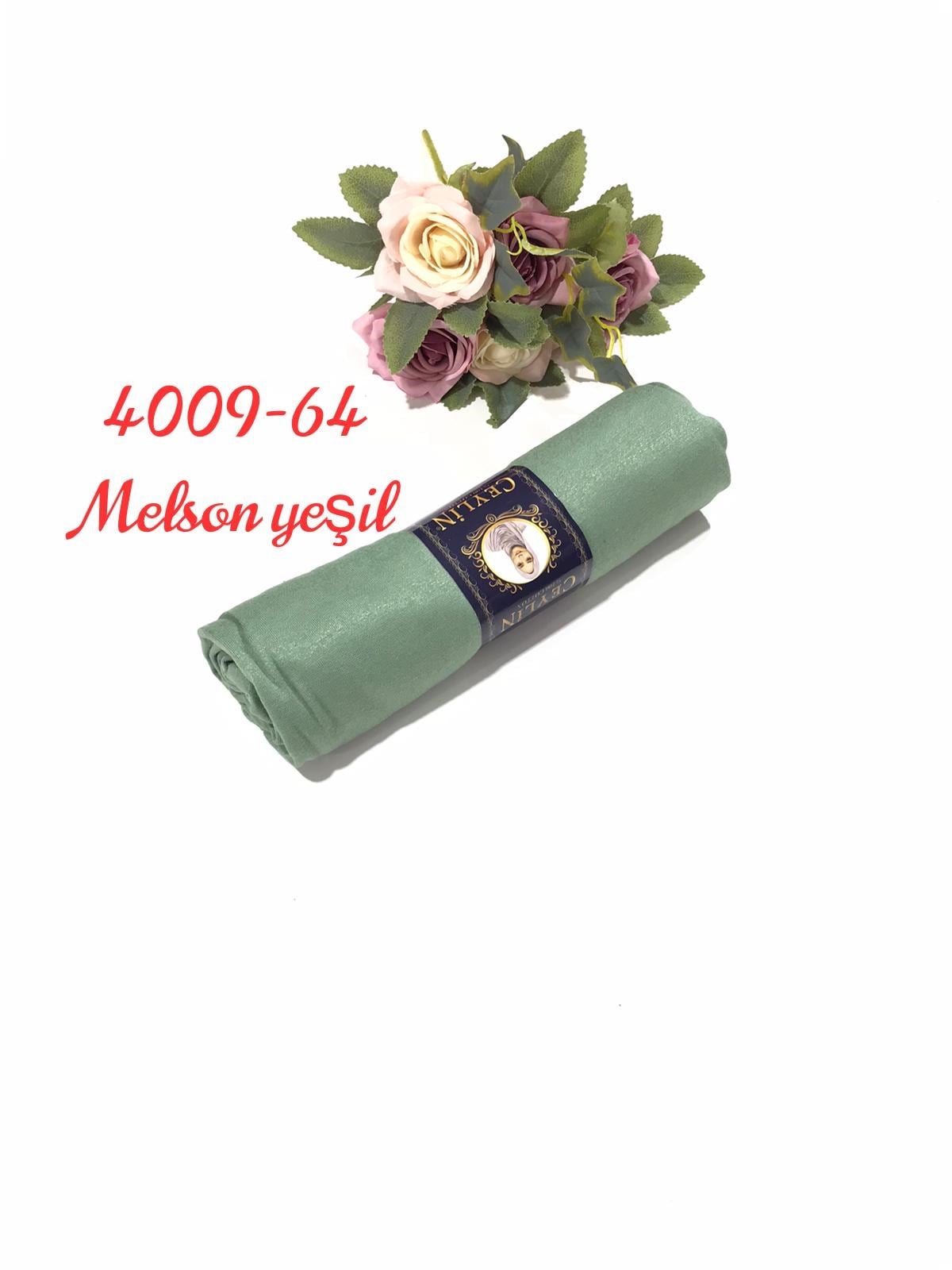 4009 Penye ŞAL