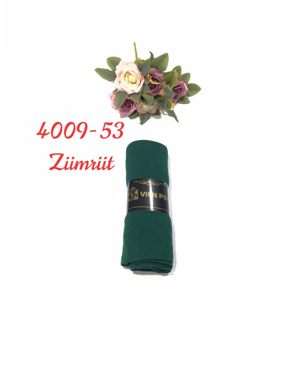 4009 Penye ŞAL