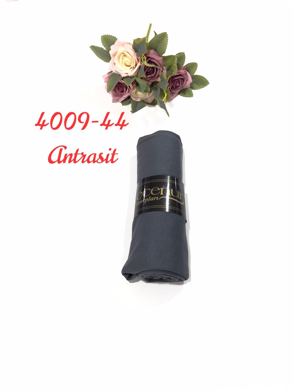 4009 Penye ŞAL