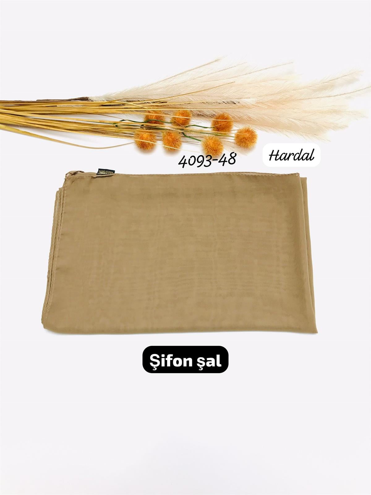 4093 Şifon Şal