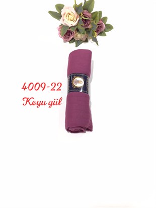 4009 Penye ŞAL