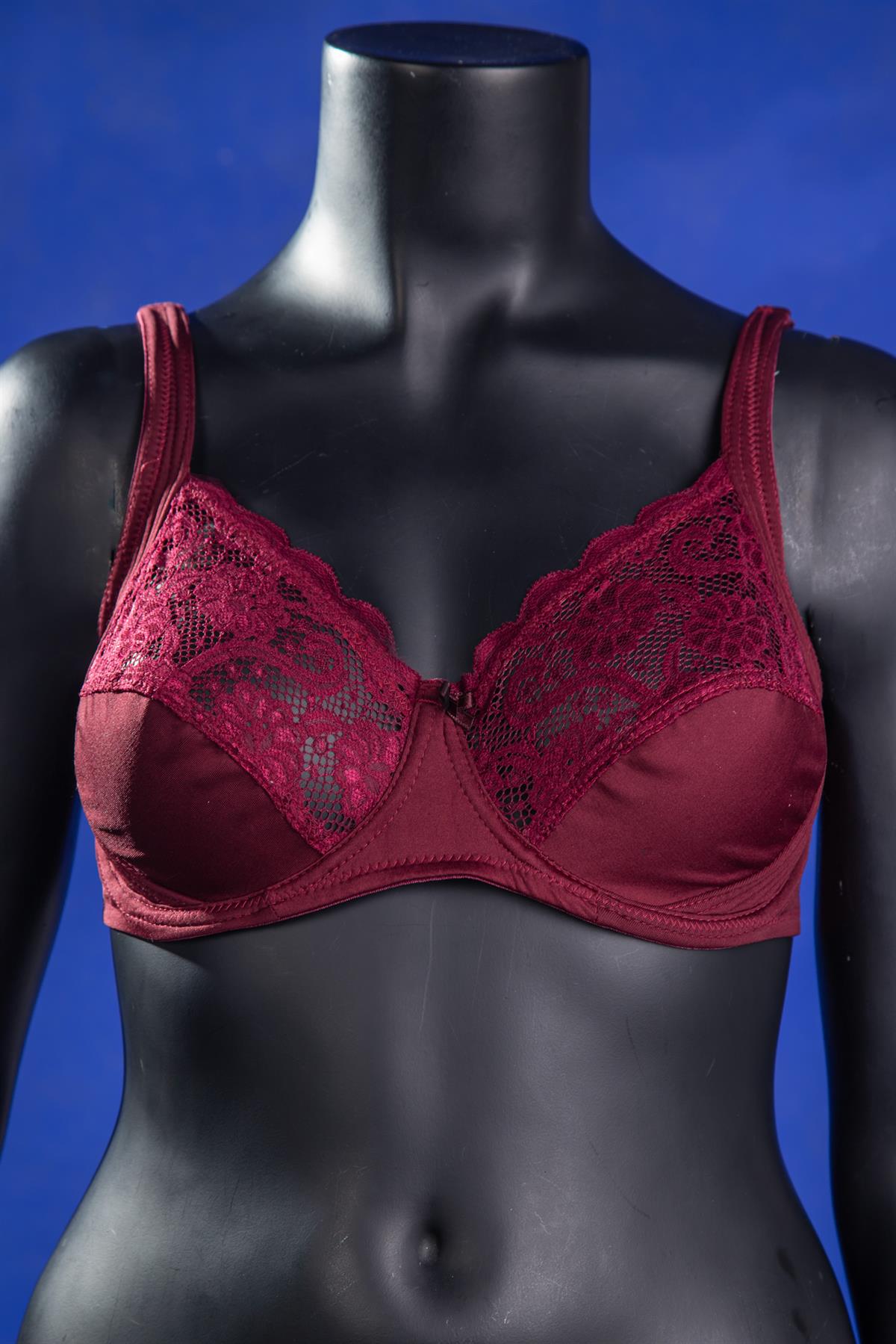 Büyük Beden 2100 Dantelli Toparlayıcı Sütyen Bordo
