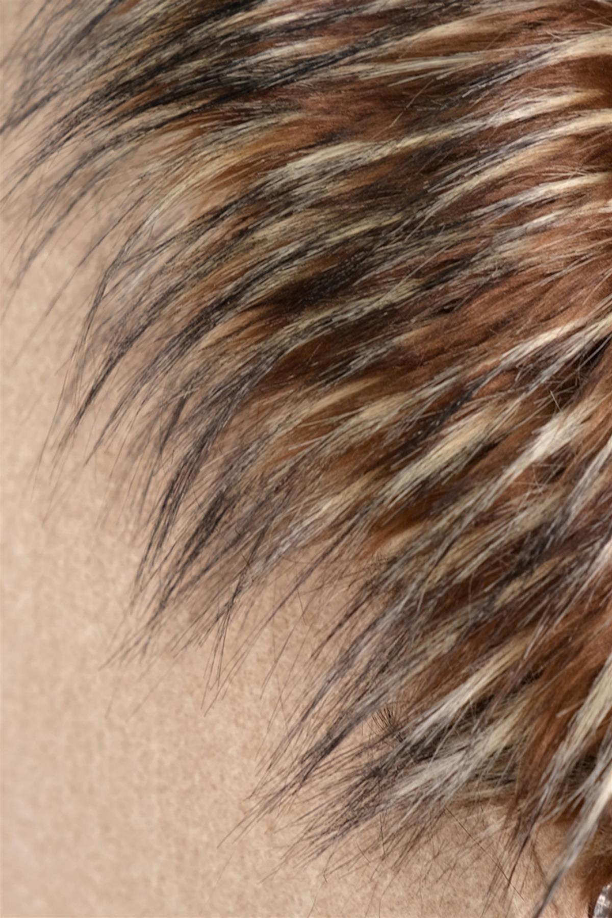 Büyük Beden 223008 Yaka-Kürklü 4 Düğmeli Kaban  Bej