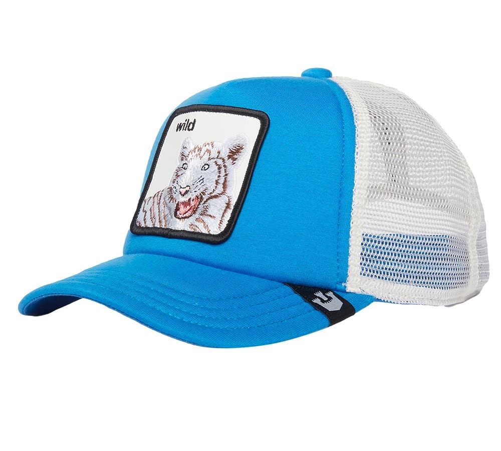 Goorin Bros Wild Stripes Çocuk 201-2055