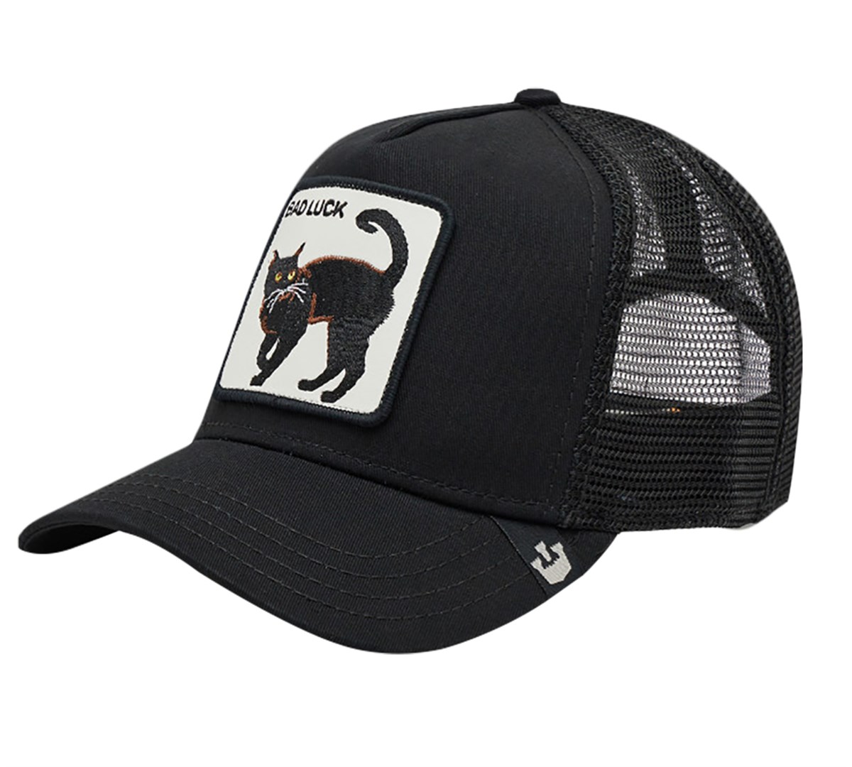 Bad luck cat101-0921