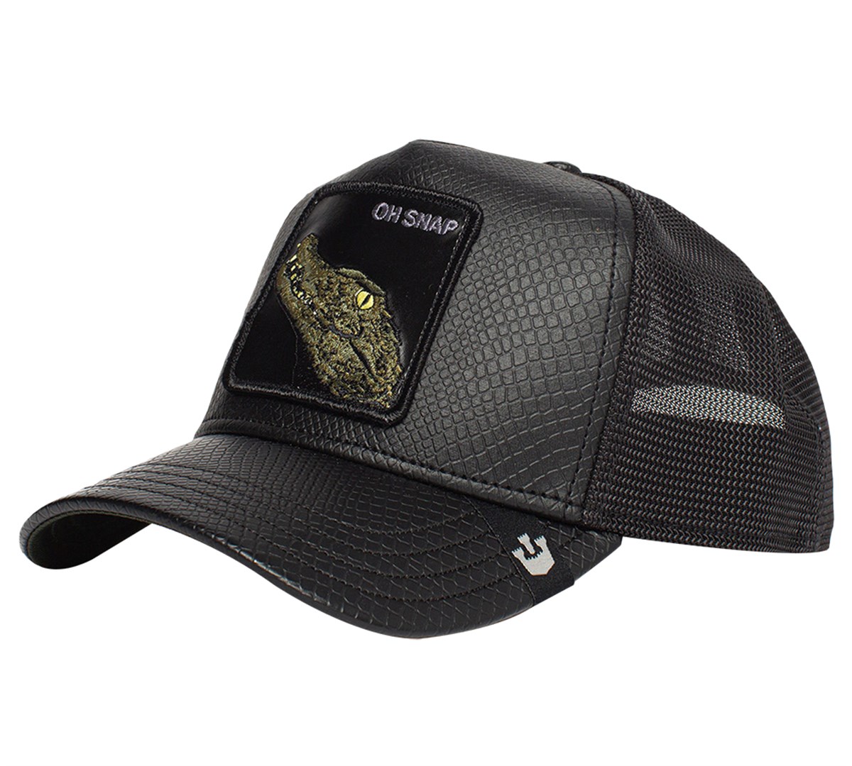 Deaping lizards101-0825