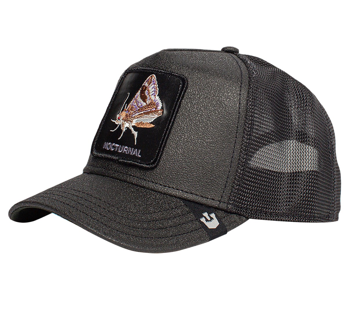 Gimme the light101-0824