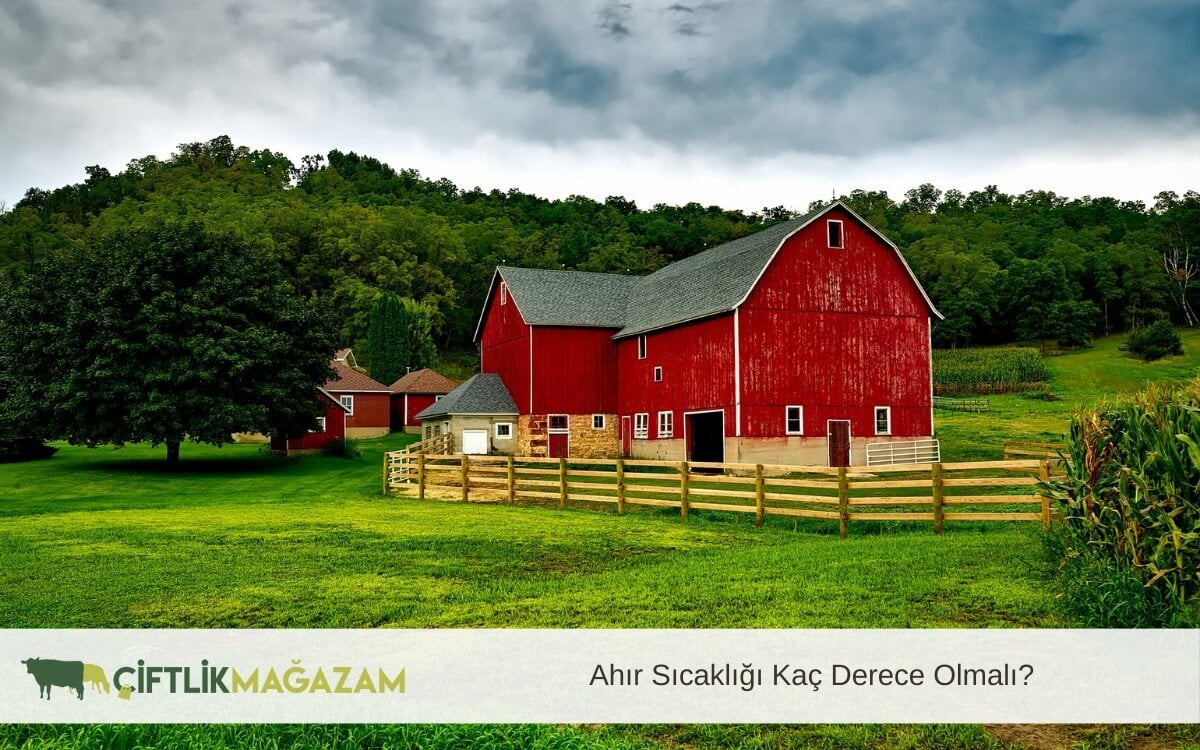 ahır sıcaklığı