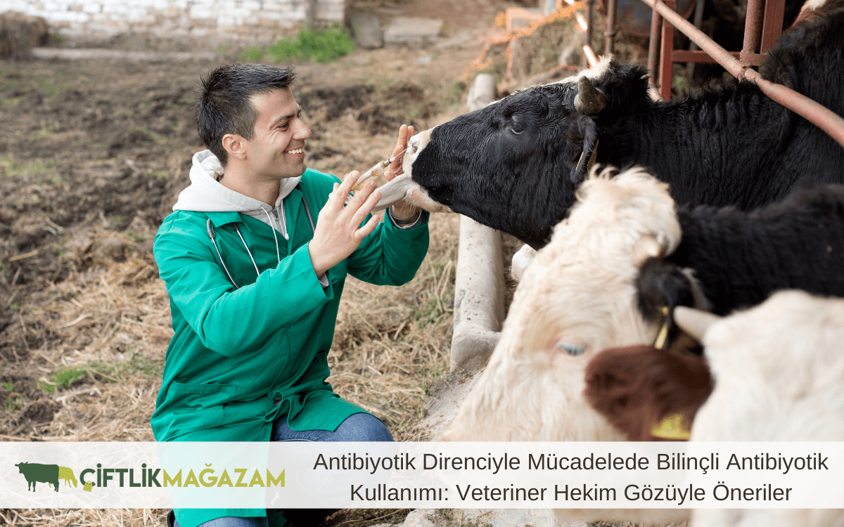 antibiyotik direnciyle mücadelede bilinçli antibiyotik kullanımı
