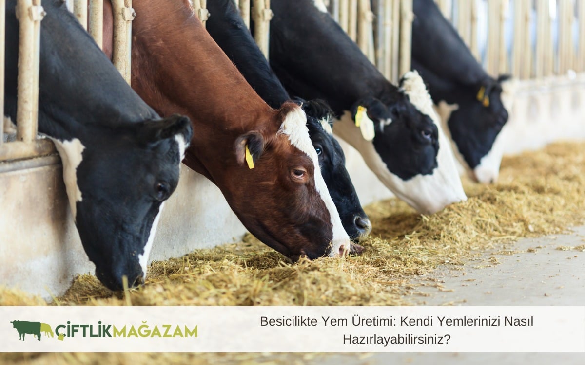 besicilik