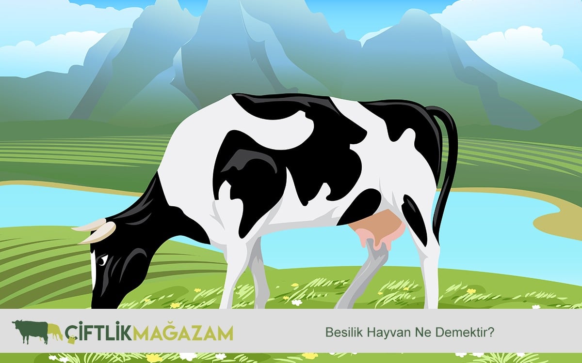 besilik hayvan
