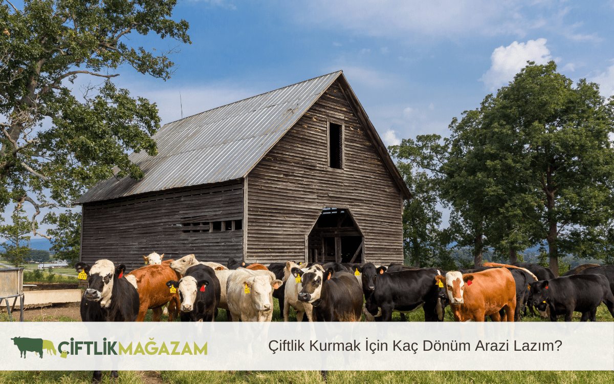 çiftlik kurmak