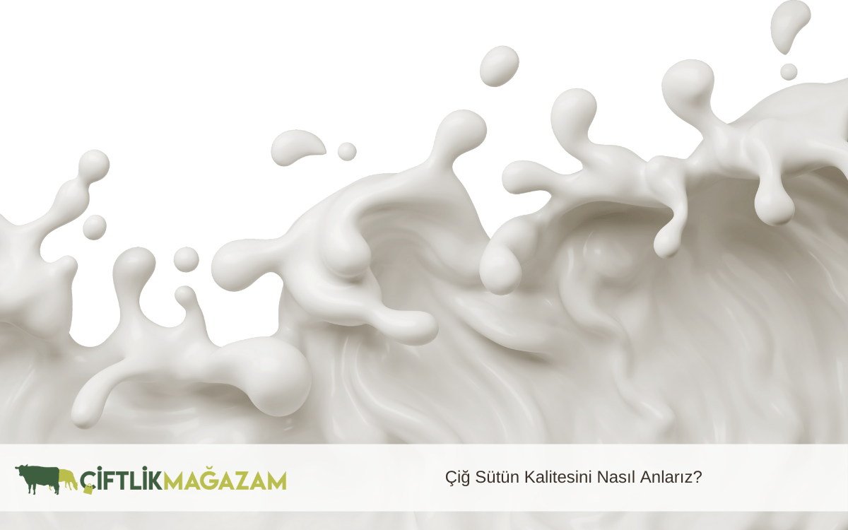 çiğ sütün kalitesini nasıl anlarız