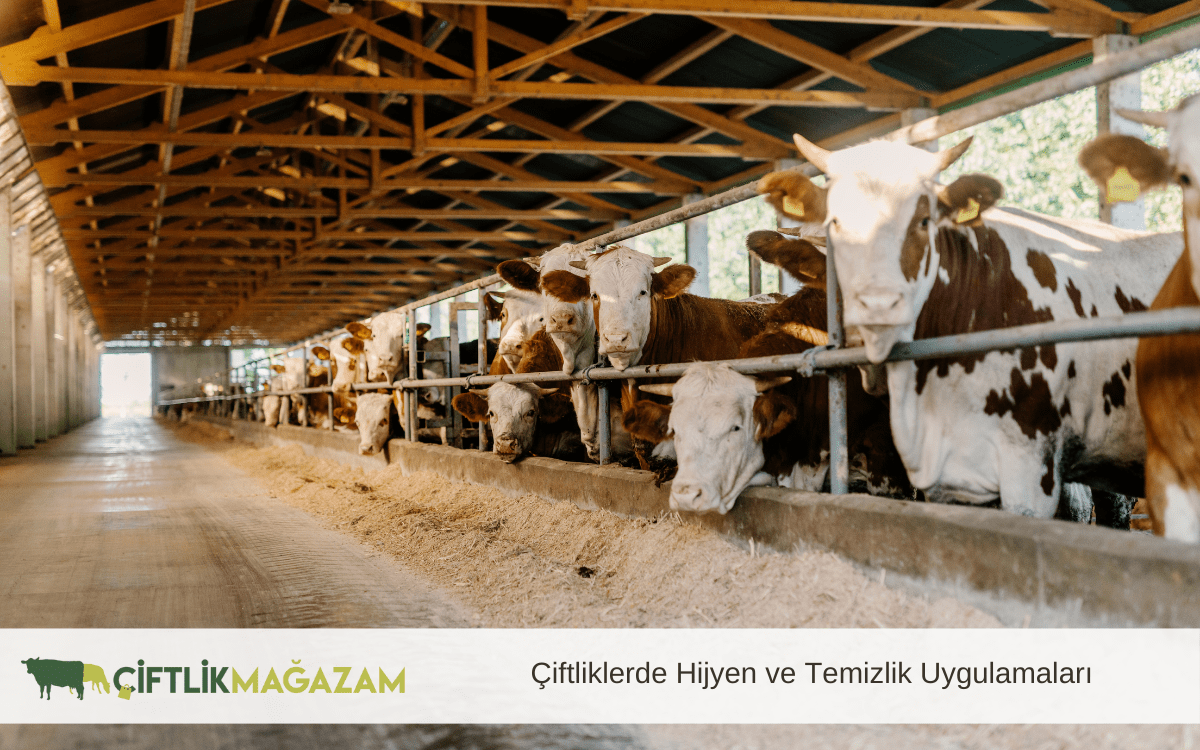 çiftliklerde hijyen ve temizlik