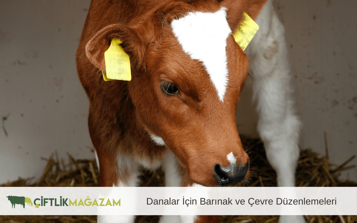 danalar için barınak