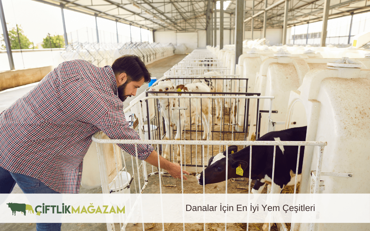 danalar için en iyi yem