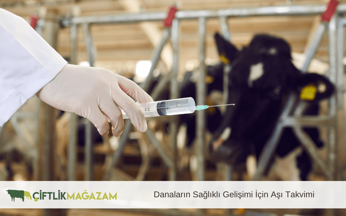 danaların sağlıklı gelişimi için aşı