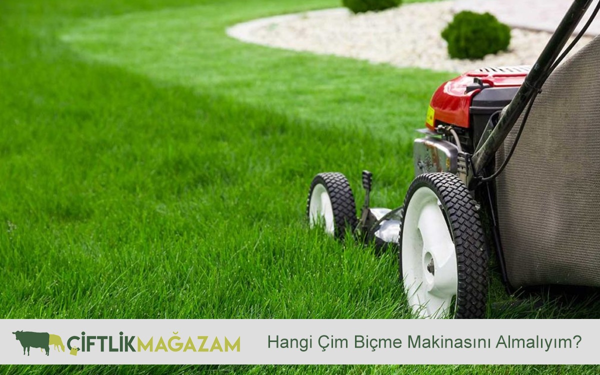 çim biçme
