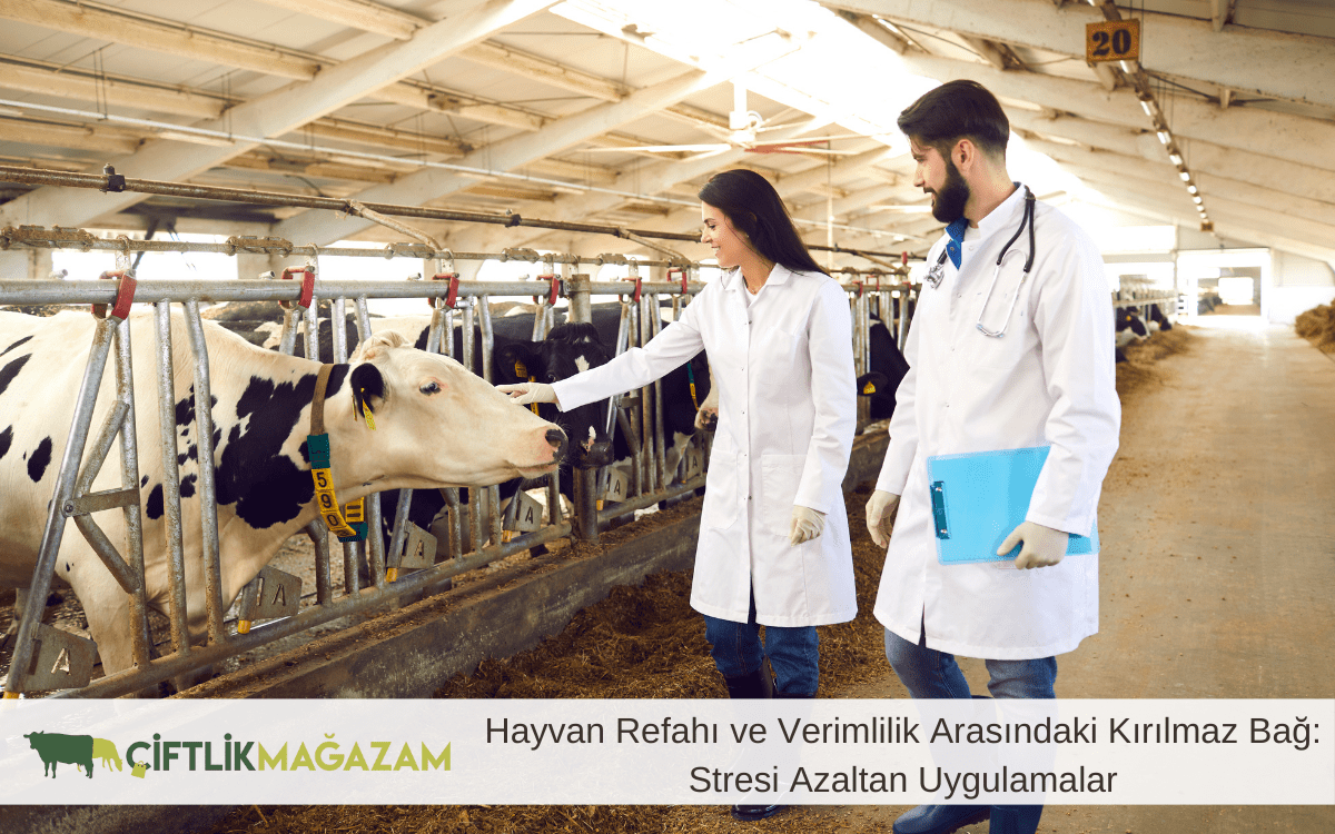 hayvan refahı ve verimlilik arasındaki kırılmaz bağ