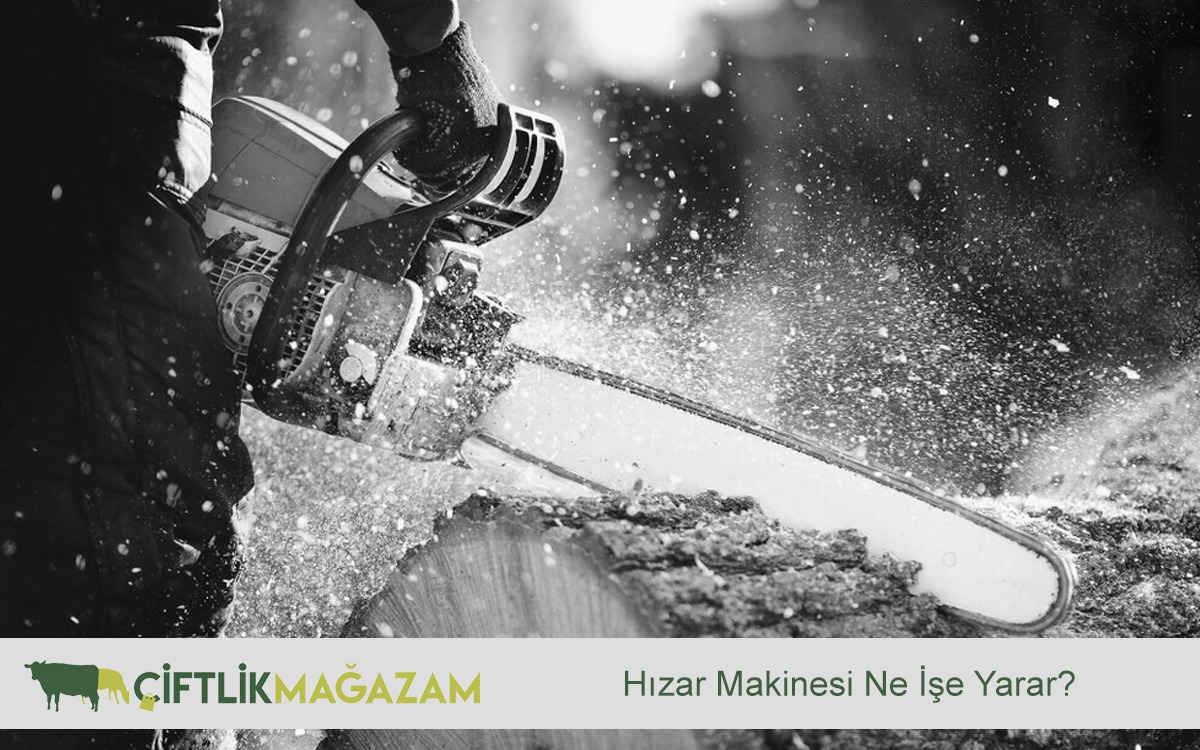 hızar makinesi