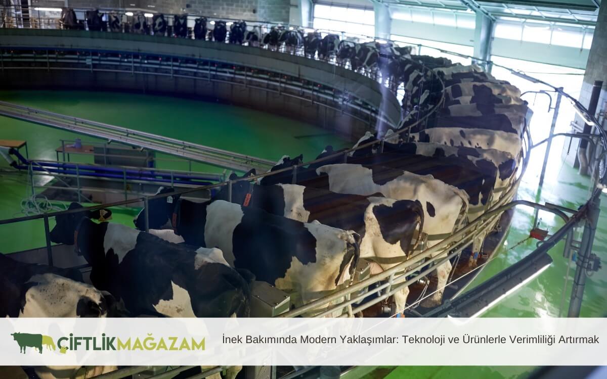 inek bakımında modern yaklaşımlar