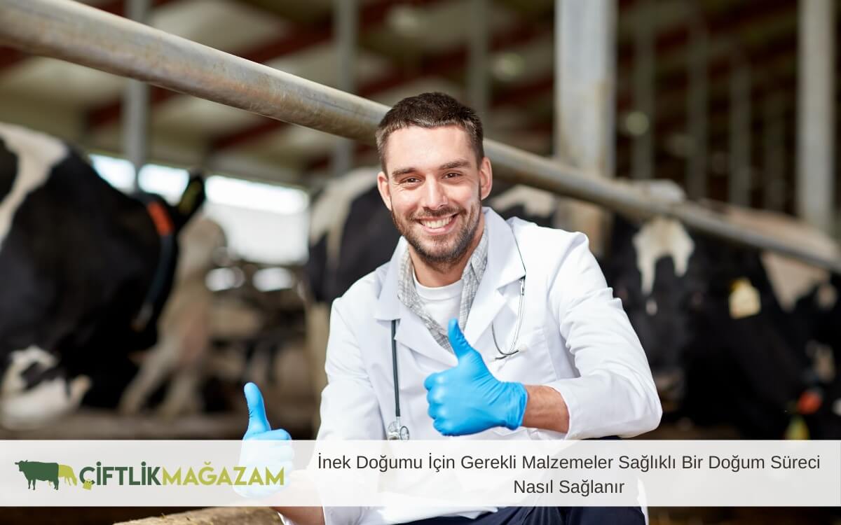 inek doğumu için gerekli malzemeler