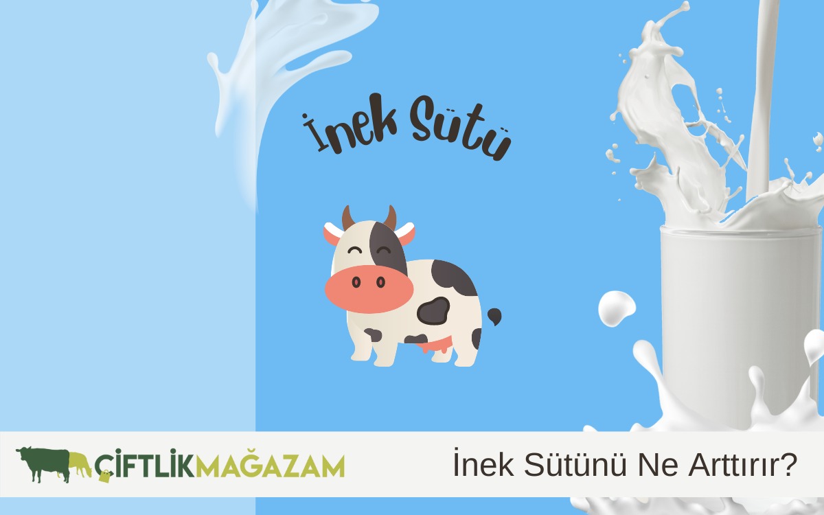 inek