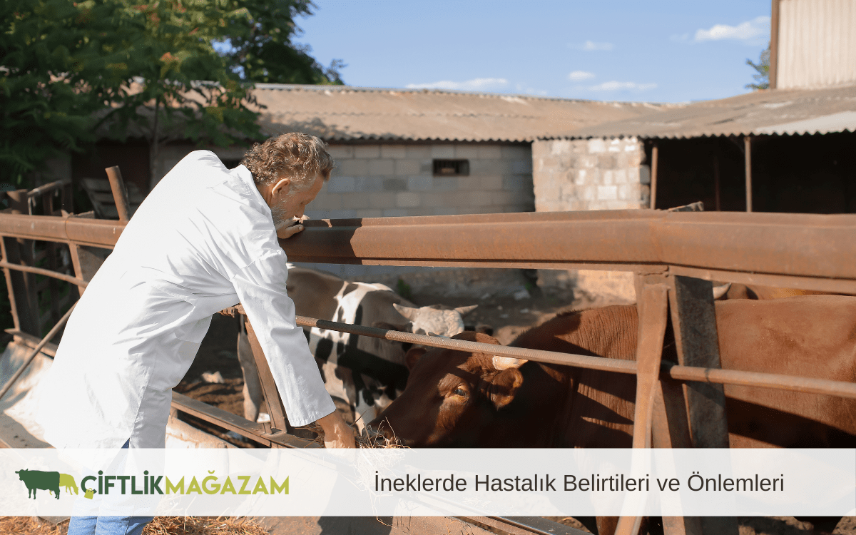 ineklerde hastalık belirtileri