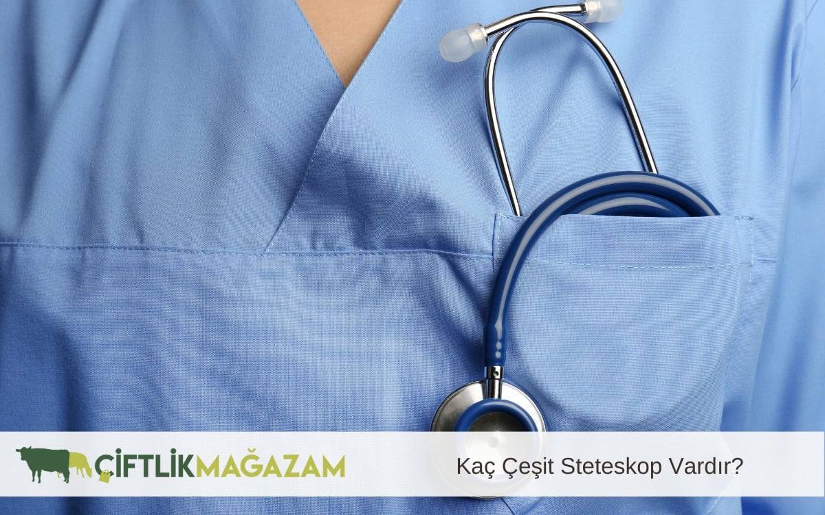 kaç çeşit stetoskop