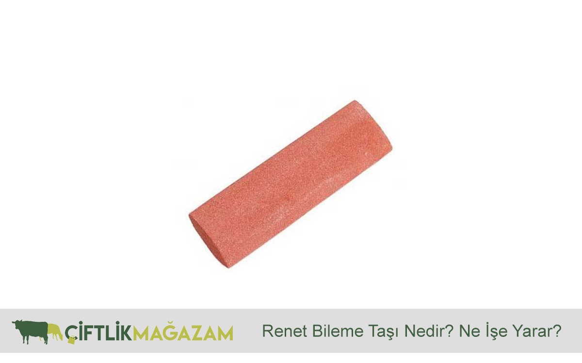 renet bileme