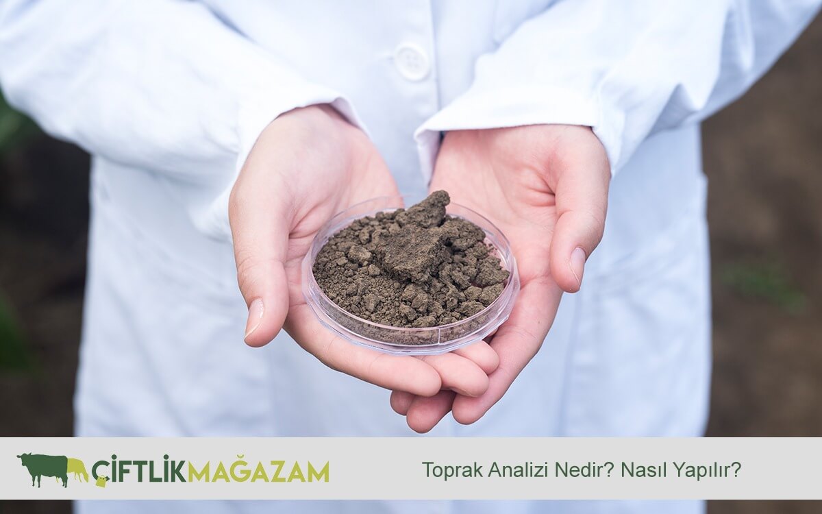 toprak analizi