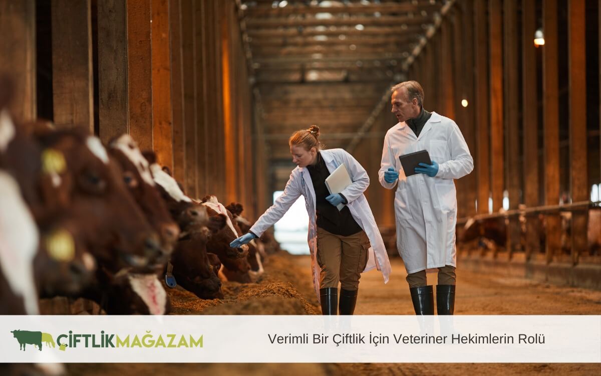 verimli bir çiftlik için veteriner hekimler