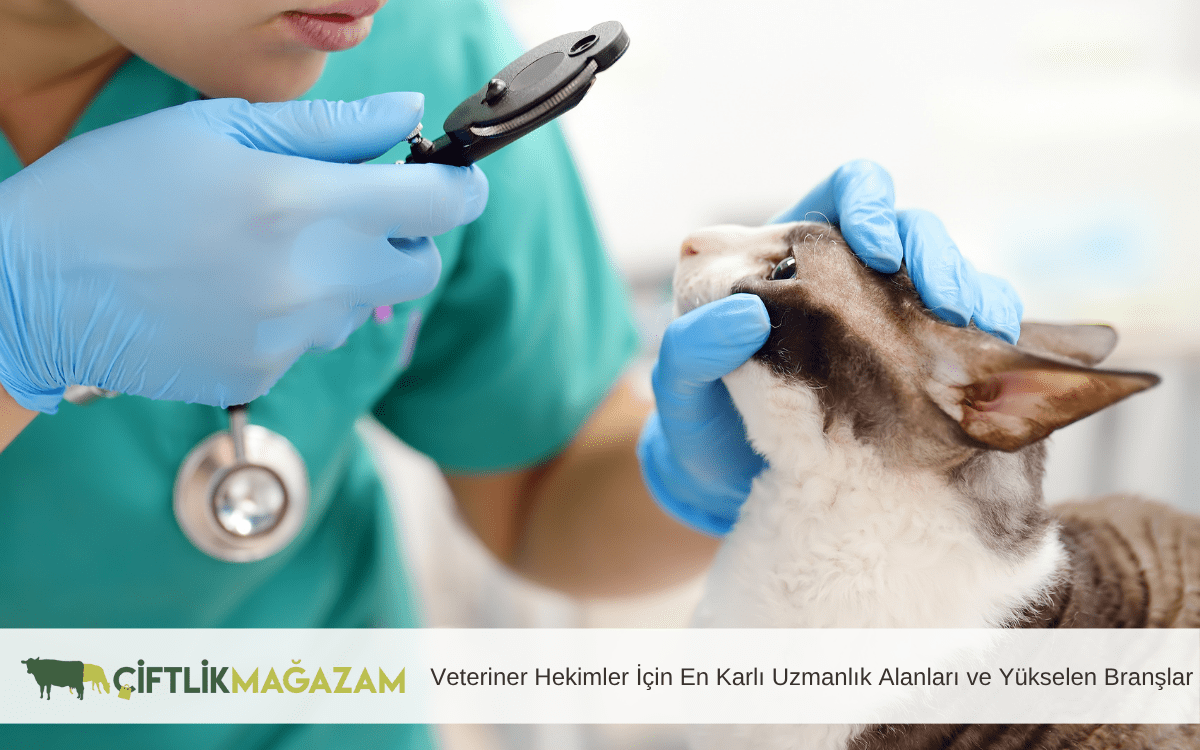 veteriner hekimler için en karlı uzmanlık alanları
