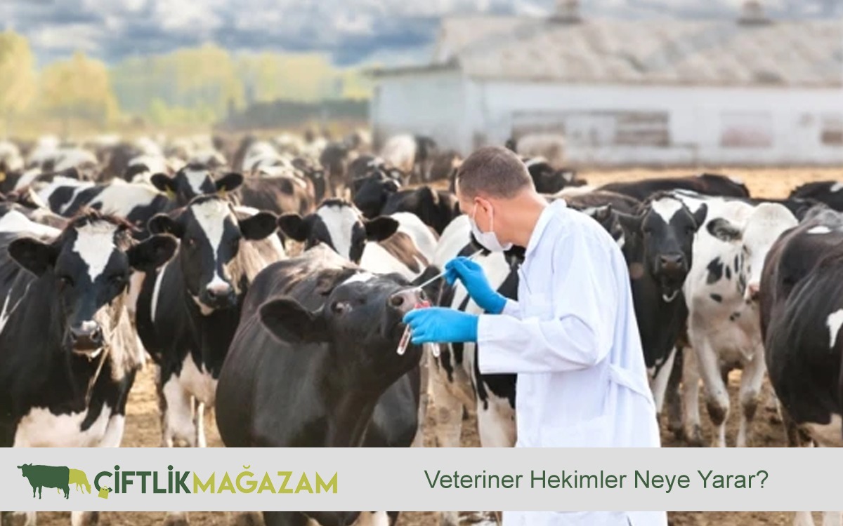 veteriner hekimler