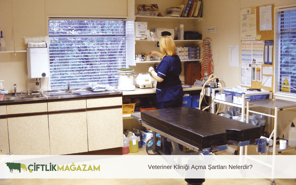 veteriner kliniği açma şartları