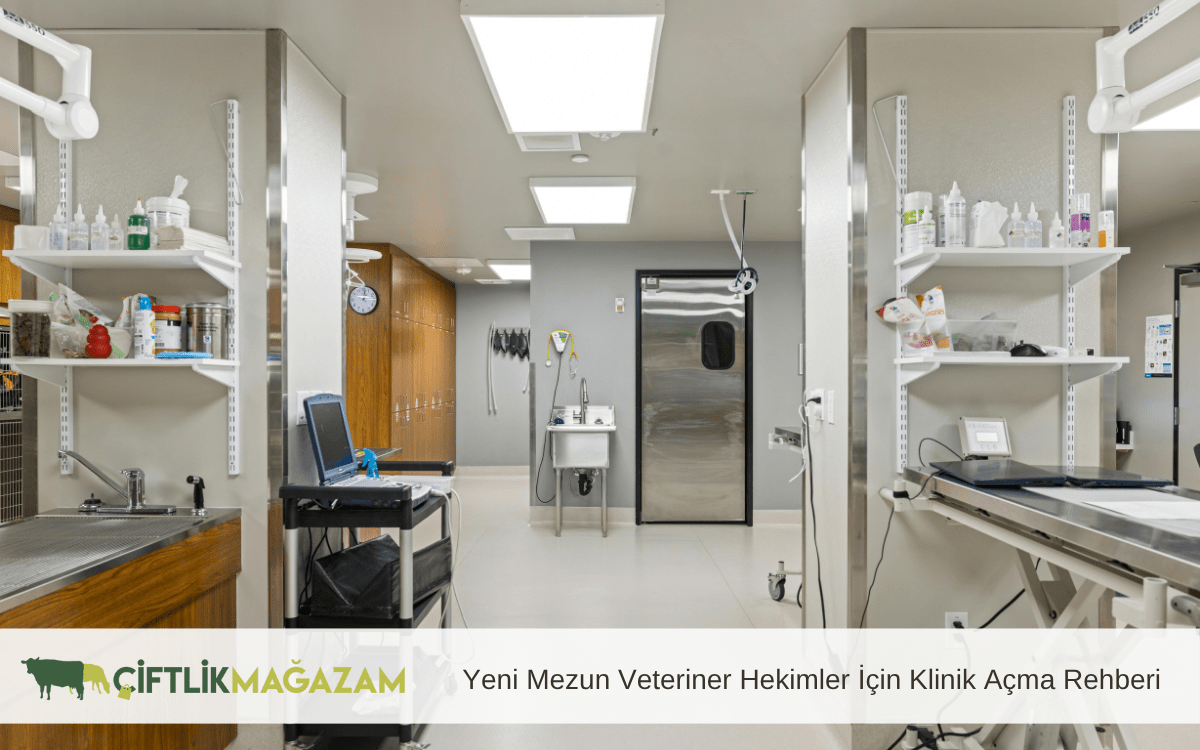 yeni mezun veteriner hekimler için klinik açma rehberi