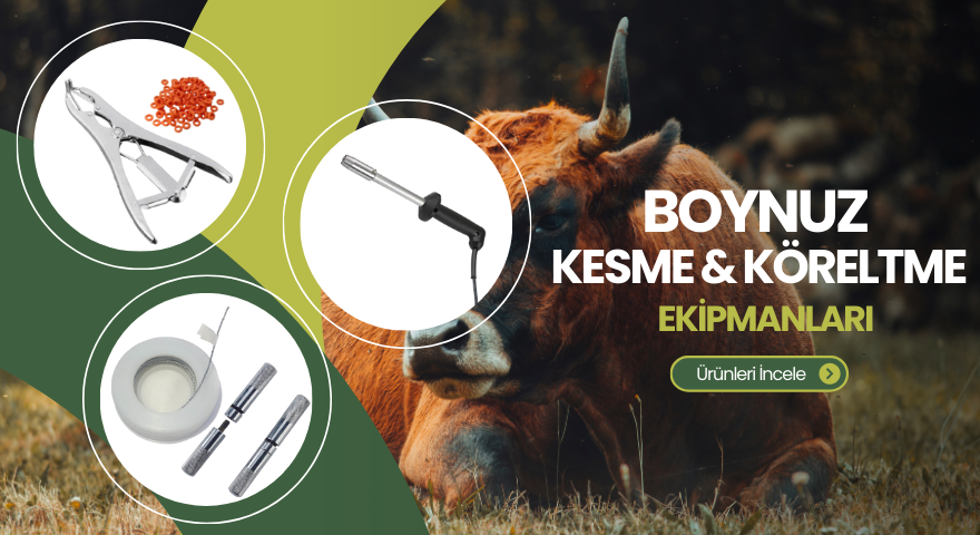 Boynuz Kesme Köreltme Ekipmanları