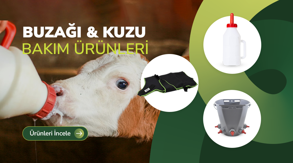 Kuzu ve Buzağı Bakım Ürünleri