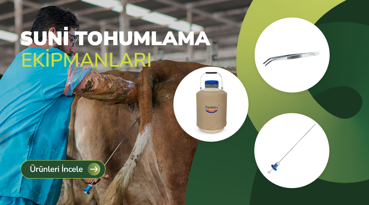 Suni Tohumlama