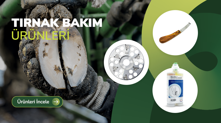 Tırnak Bakım Ekipmanları