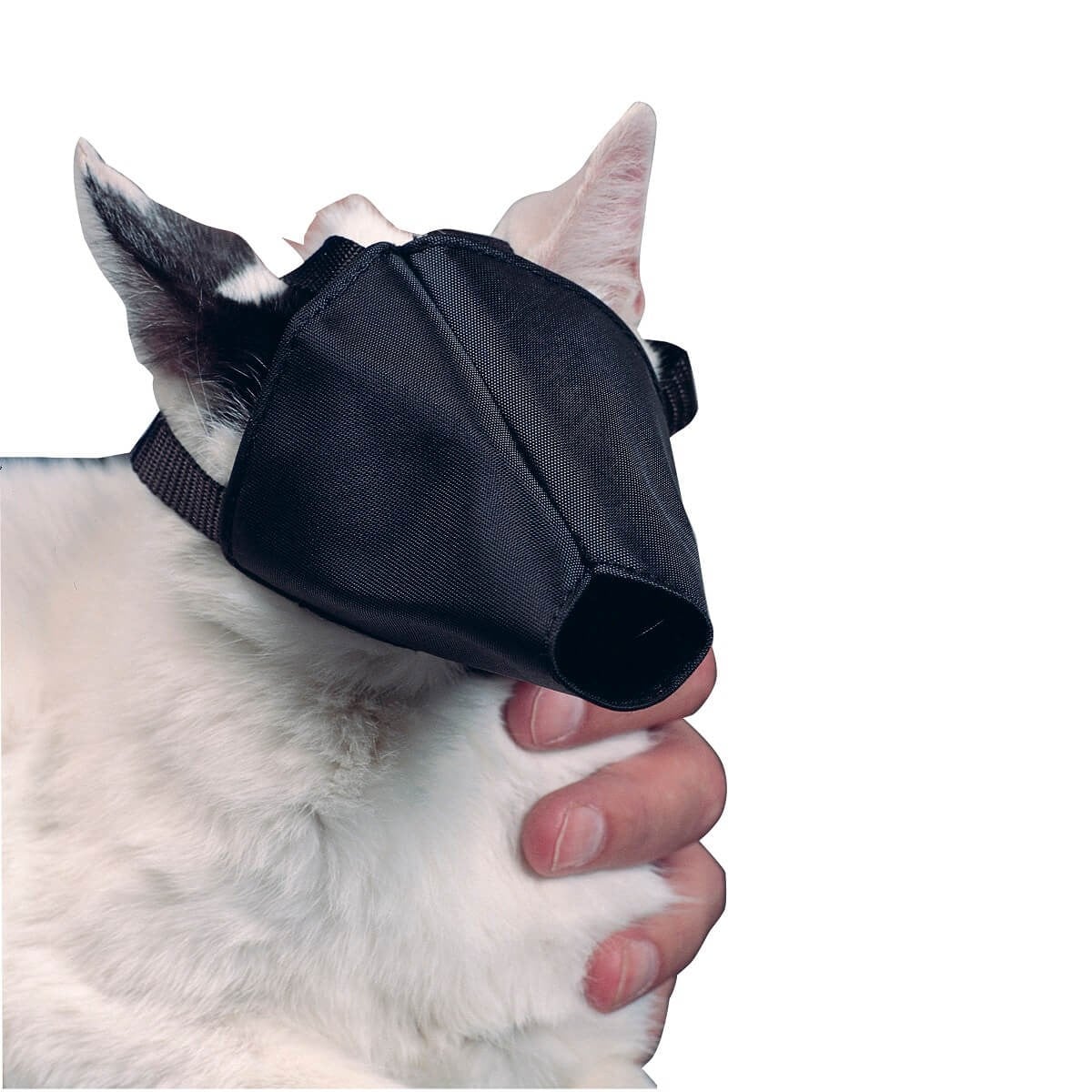 Buster Kedi Ağızlığı