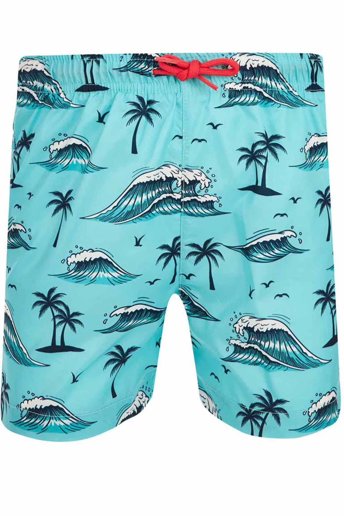 Genç Erkek Havuz Deniz Desenli Şort Wavy S230 Mint