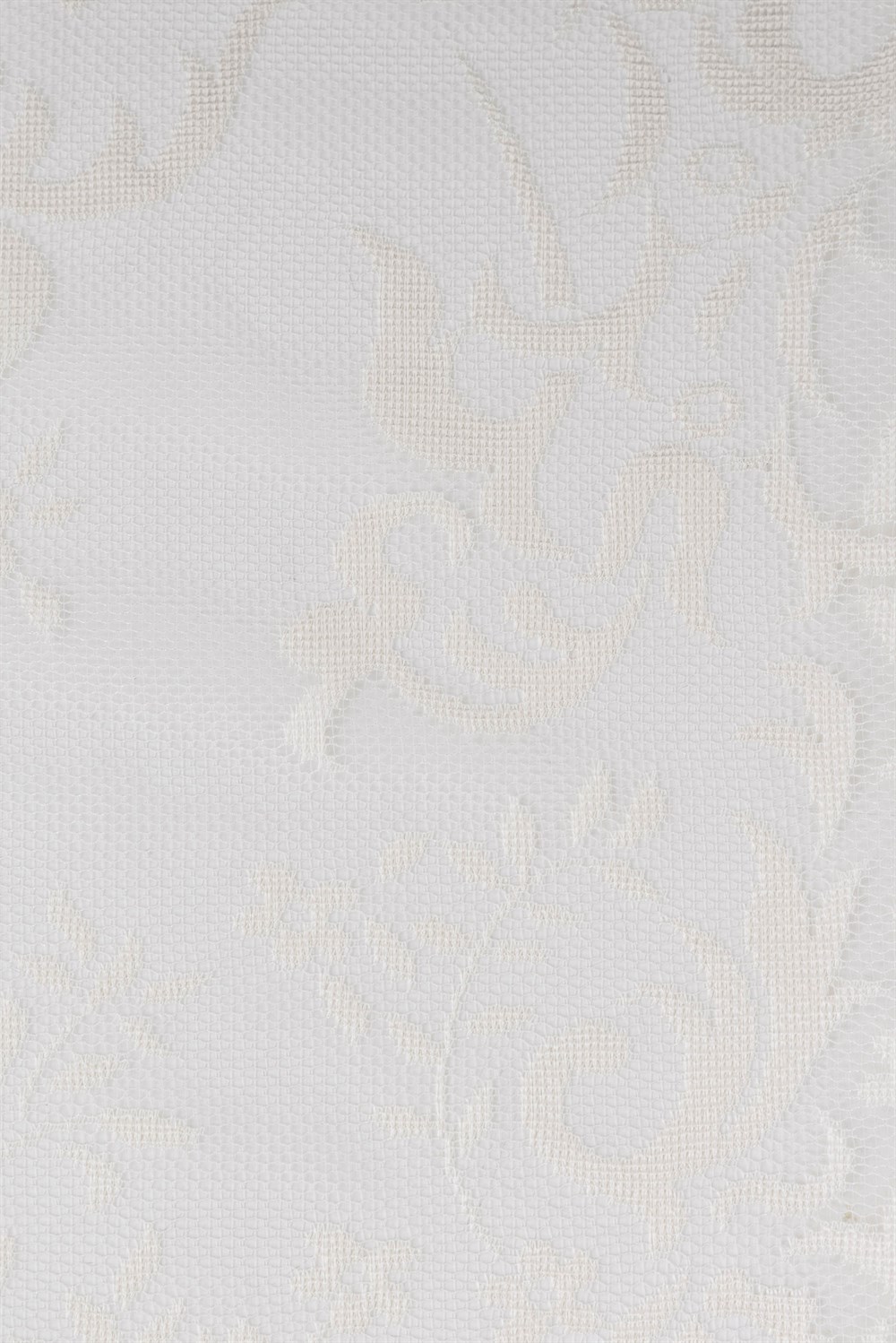 C&SARI DESIGNNAPA18133/19993