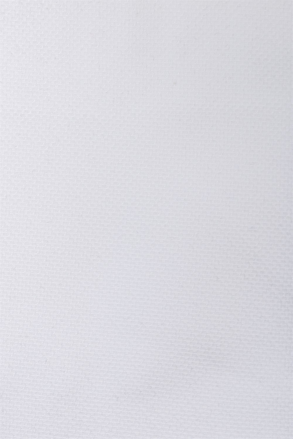 PERDELIQUEPOLO93815/41